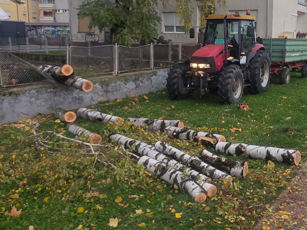 Vjetar lomio drveće i grane