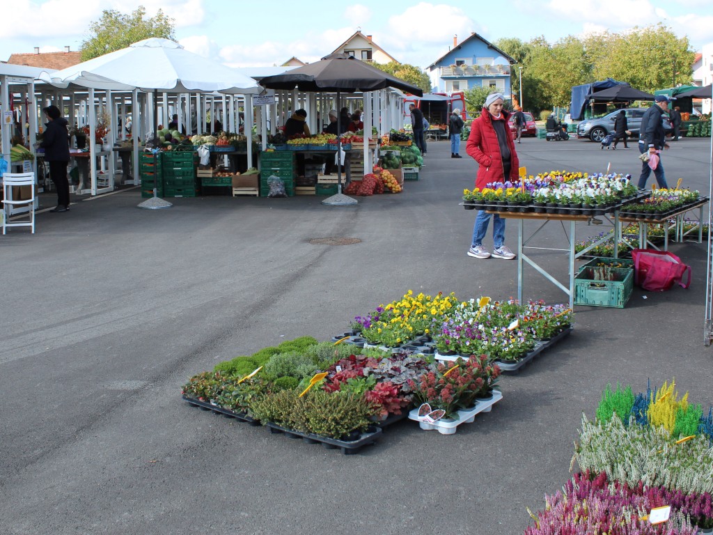 Zbog organizacije Susreta hrvatske katoličke mladeži tržnica neće raditi 2.5.2026.