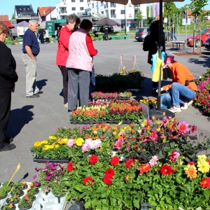 Trznica_PONUDA 14.5.26 (18)