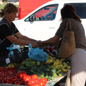 Trznica_rujan_26 (1)