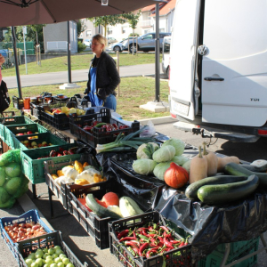 Trznica_rujan_26 (2)