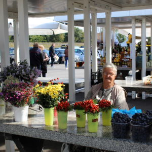 Trznica_rujan_26 (21)