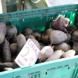 Trznica_rujan_26 (23)