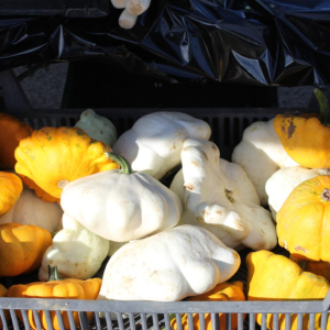 Trznica_rujan_26 (3)