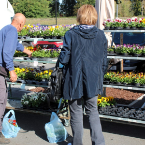 Trznica_rujan_26 (37)