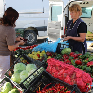 Trznica_rujan_26 (4)