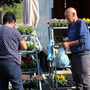 Trznica_rujan_26 (41)