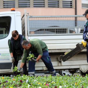 SADNJAlistopad 2026 (13)