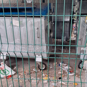 Nepravilno odbačen otpad (1)